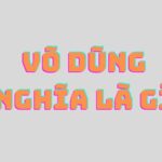 võ dũng nghĩa là gì